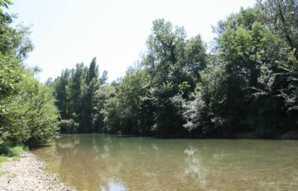 Chateau De Gargas Bed & Breakfast Gaudiès Dış mekan fotoğraf