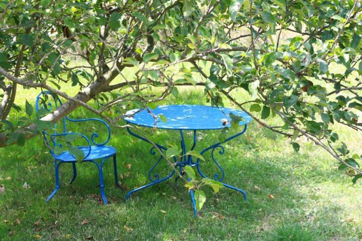 Chateau De Gargas Bed & Breakfast Gaudiès Dış mekan fotoğraf